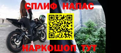 прущие грибы Краснокаменск