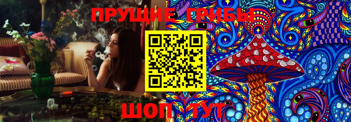 Галлюциногенные грибы Magic Shrooms  закладки  Псилоцибиновые грибы Psilocybe  Россия  Вход с VPN 