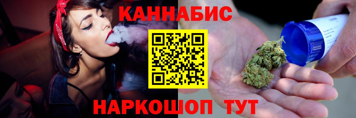 Каннабис сатива Россия